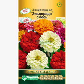 Цинния Эльдорадо/ Евросемена
