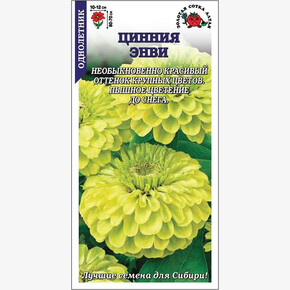 Цинния Энви /Сотка/ 0,2 г