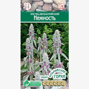 Чистец НЕЖНОСТЬ византийский 5 шт/ Евросемена