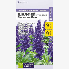 Шалфей Виктория Блю мучнистый/ Семена Алтая 10 шт.