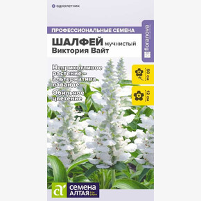 Шалфей Виктория Вайт мучнистый/ Семена Алтая 10 шт.