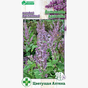 Шалфей ВИТАМИНЫ КРАСОТЫ мускатный 0,1 гр/ Евросемена