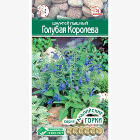 Шалфей ГОЛУБАЯ КОРОЛЕВА (10 шт)/ Евросемена