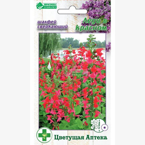 Шалфей ЛЕДИ В КРАСНОМ (0,2 гр)/ Евросемена