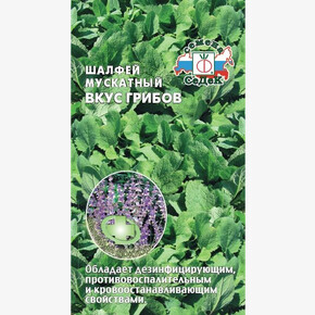 Шалфей Мускатный Вкус грибов/ Седек