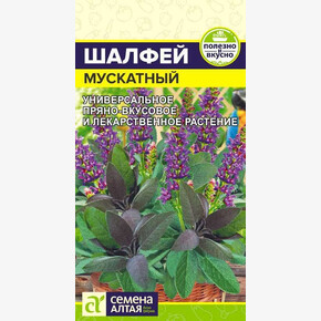 Шалфей Мускатный/Сем Алт/цп 0,1 гр.