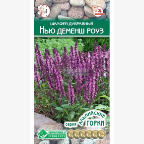 Шалфей НЬЮ ДЕМЕНШ РОЗЕ 5 шт/ Евросемена