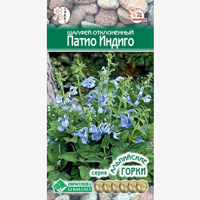 Шалфей ПАТИО ИНДИГО отклоненный 10 шт/ Евросемена
