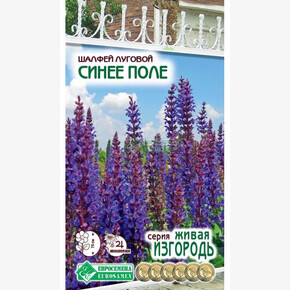 Шалфей СИНЕЕ ПОЛЕ 0,1 гр/ Евросемена