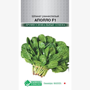 Шпинат АПОЛЛО раннеспелый 1 гр/ Евросемена