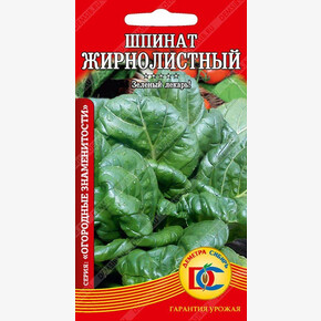 шпинат Жирнолистный /1 гр Дем Сиб/