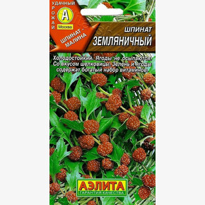 Шпинат Земляничный/ Аэлита
