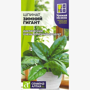 Шпинат Зимний Гигант/ Семена Алтая 1 гр. УРОЖАЙ НА ОКНЕ!!