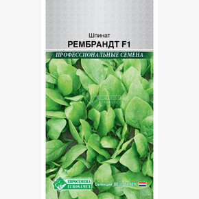 Шпинат РЕМБРАНДТ (1 гр) /Bejo Zaden/ Евросемена