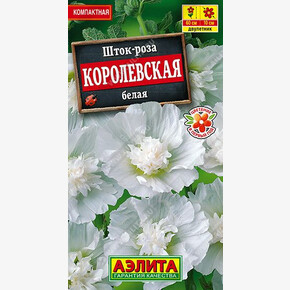 Шток-роза Королевская белая 10шт/ Аэлита