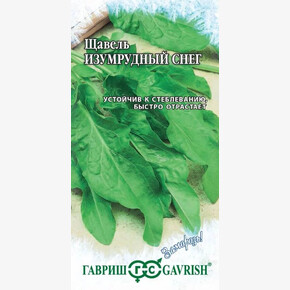 Щавель Изумрудный снег /Гавриш