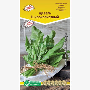 Щавель Широколистный/ Евросемена