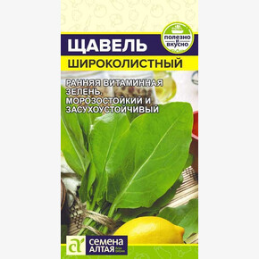 Щавель Широколистный/ Семена Алтая 0,5 гр.