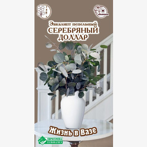 Эвкалипт пепельный Серебряный Доллар/ Евросемена