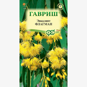 Эвкалипт Флагман/ Гавриш