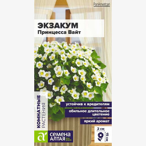 Экзакум Принцесса Вайт/Семена Алтая/цп 3 шт.
