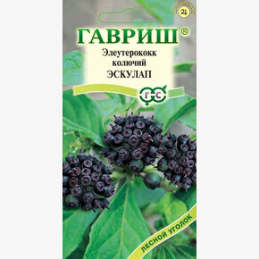 Элеутерокок Эскулап колючий /Гавриш/
