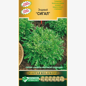 Эндивий Сигал/ Евросемена