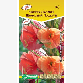 Энотера Шелковый Поцелуй./ Евросемена