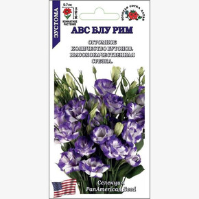 Эустома АВС Блу Рим/ Сотка