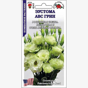 Эустома АВС Грин /Сотка/ 5 шт / h-90-110, d 5-7