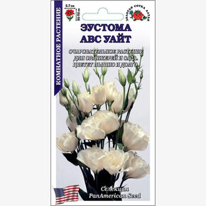 Эустома АВС Уайт /Сотка/ 5шт