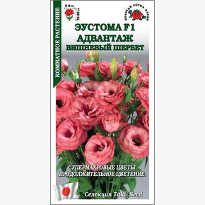 Эустома Адвантаж Вишневый Шербет/ Сотка