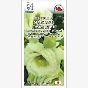 Эустома Мариачи Лайм Грин /Сотка/ 5шт