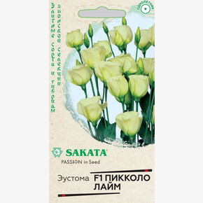 Эустома Пикколо Лайм/ Гавриш