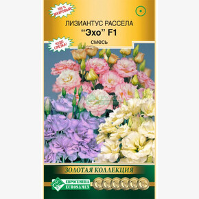 Эустома Рассела Эхо/ Евросемена