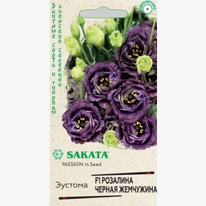 Эустома Розалина Черная жемчужина 4шт Саката/ Гавриш