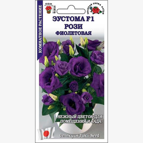 Эустома Рози фиолетовая /Сотка/ 5шт/ фиолетов. h-15-25см d-4-5см/*500