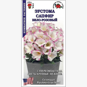 Эустома Сапфир Бело-розовый /Сотка/ 5шт/ h-15см d-6см PanAm/*500