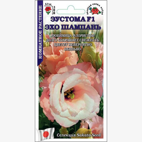 Эустома Эхо Шампань /Сотка/ 5шт