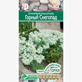 Эуфорбия ГОРНЫЙ СНЕГОПАД 10 шт/ Евросемена