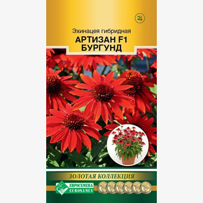 Эхинацея Артизан F1 Бургунд (3 шт)