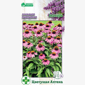 Эхинацея ЗНАХАРЬ пурпурная 0,1 гр/ Евросемена