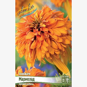 ЭХИНАЦЕЯ МАРМЕЛАД