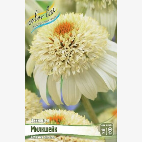 ЭХИНАЦЕЯ МИЛКШЕЙК