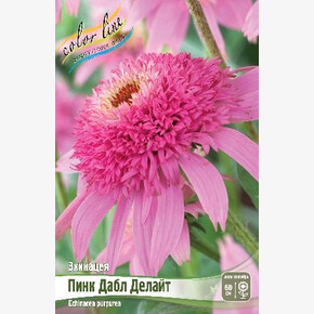 ЭХИНАЦЕЯ ПИНК ДАБЛ ДЕЛАЙТ