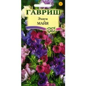 Эхиум Майя /Гавриш