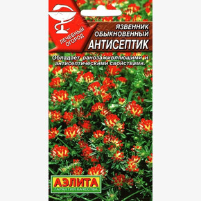 Язвенник Антисептик/ Аэлита
