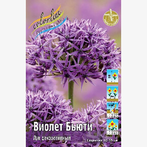 Лук декор. Виолет Бьюти