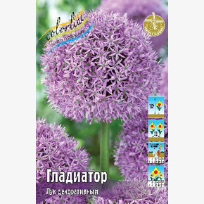 Лук декор. Гладиатор
