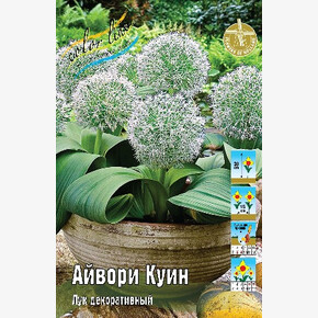 Лук декор. Айвори Куин (карат.)